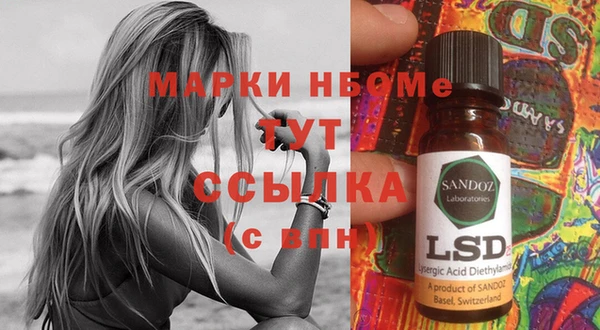 стафф Зерноград