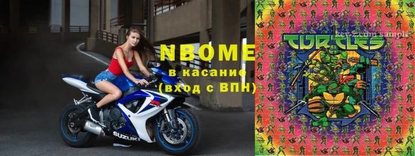стафф Зерноград