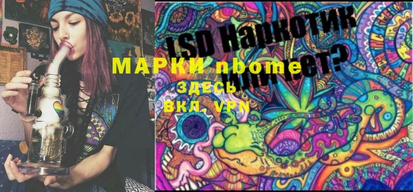 стафф Зерноград