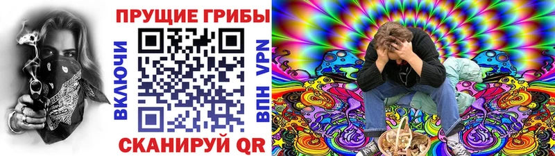 Галлюциногенные грибы мухоморы  Купить  Дигора 